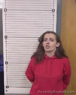 Recent Mugshot Image for CASEY DANNILLE BRYANT in Caldwell County, North Carolina