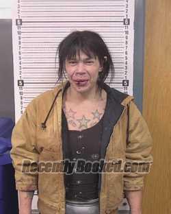 Recent Mugshot Image for JERRY LEE PRICE in Caldwell County, North Carolina