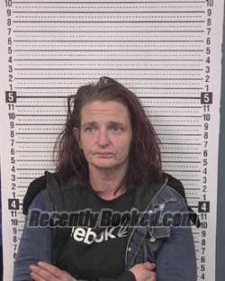 Recent Mugshot Image for ANNA CHRISTINE SETTLEMYRE in Caldwell County, North Carolina
