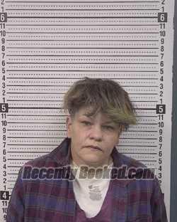 Recent Mugshot Image for SUSAN LYNN COMSTOCK in Caldwell County, North Carolina