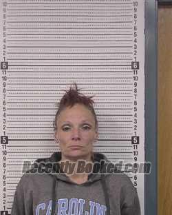Recent Mugshot Image for JESSICA MICHELLE RASH in Caldwell County, North Carolina