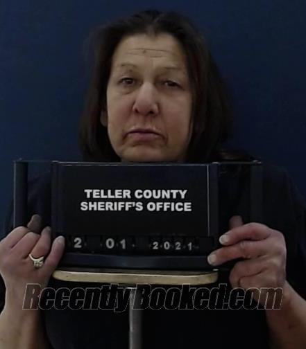 Recent Mugshot Image for PAULA SNEDDON in Teller County, Colorado