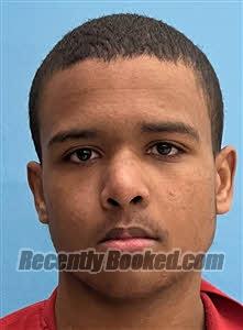 Recent Mugshot Image for Isaac Samuel Nelson in Desoto County, Florida