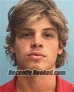 Recent Mugshot Image for Gavin Hunter McMillian in Desoto County, Florida