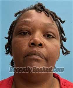 Recent Mugshot Image for Tameka Lynette Melbourne in Desoto County, Florida