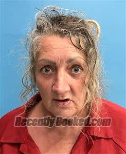 Recent Mugshot Image for Lisa Christine Darnell in Desoto County, Florida