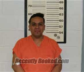Recent Mugshot Image for IRENEO HERNANDEZ MELCHOR in Caswell County, North Carolina