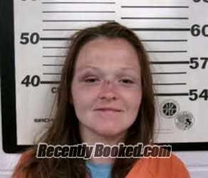 Recent Booking / Mugshot for BRITTNEY GAULDIN TOLLEY in Caswell County