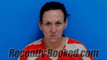 Recent Booking / Mugshot for Tasha Nicole Ray-hill in Catawba County