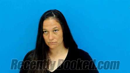 Recent Booking / Mugshot for Amanda Leigh Wilson in Catawba County ...
