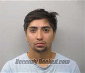 Recent Mugshot Image for EMILIO FABIAN TOLENTINO CALVILLO in Chatham County, North Carolina