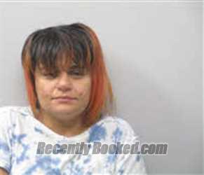 Recent Mugshot Image for CRISTINA LOUISE HARRISON in Chatham County, North Carolina
