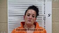Recent Mugshot Image for Christi Wynette Killian in Cherokee County, North Carolina