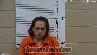 Recent Mugshot Image for Lindsey Ann Lemon in Cherokee County, North Carolina
