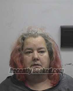 Recent Mugshot Image for TOSHA MELINDA LEE in Cleveland County, North Carolina