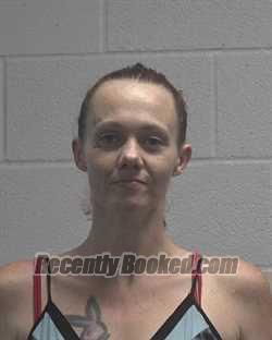 Recent Booking / Mugshot for HEIDI MARIE NICHOLE VAUGHN in Cleveland