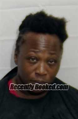 Recent Mugshot Image for JUANITA RENEE ASKEW in Columbus County, North Carolina