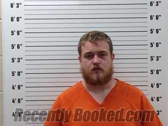 Recent Mugshot Image for Chandler Levi Gann in Pickens County, Georgia