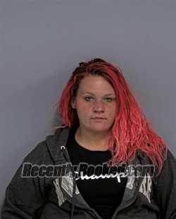 Recent Mugshot Image for SHEILA BLAKE NOBLES in Davidson County, North Carolina