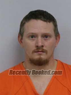Recent Mugshot Image for DAVID PAUL WILSON in Davie County, North Carolina