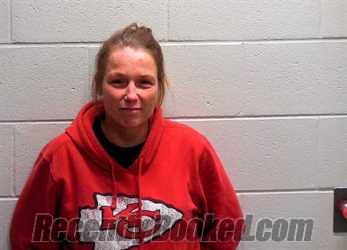 KYLIE ELAINE COX Arrest Record & Booking Info – Bureau County, Illinois