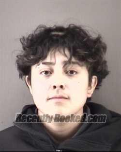 Recent Mugshot Image for ENEYDA PATRICA LARAGOMEZ in Forsyth County, North Carolina