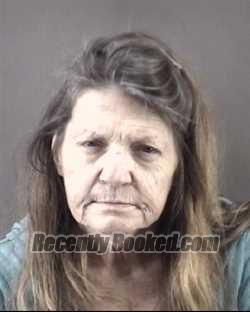 Recent Mugshot Image for KAREN DALE CRAIG in Forsyth County, North Carolina