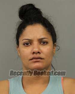 Recent Booking / Mugshot for GENESIS PARRA in Cook County, Illinois