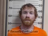 Recent Mugshot Image for BRANDON J WELLS in Crawford County, Illinois