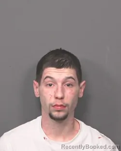 Recent Mugshot Image for DOMINIC M CUMMINGS in DeKalb County, Illinois