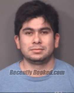 Recent Mugshot Image for FRANCISCO J HERNANDEZ-ALVAREZ in DeKalb County, Illinois