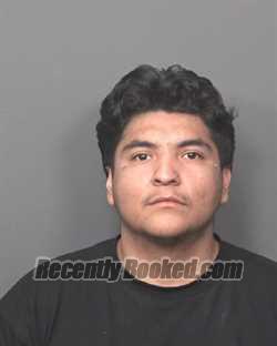 Recent Mugshot Image for FREDY JR SANTANA in DeKalb County, Illinois