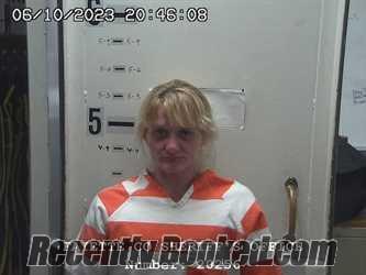 Recent Mugshot Image for ASHLEY ELIZABETH ALLENDER in Fayette County, Illinois