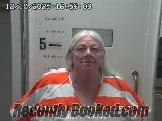 Recent Mugshot Image for PATRICIA G LEWIS-ZUBKIN in Fayette County, Illinois