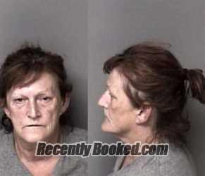 Recent Mugshot Image for Tonya Christine Peterson in Gaston County, North Carolina