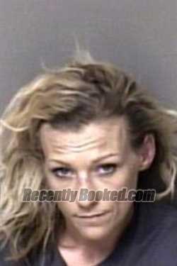 Recent Booking / Mugshot for April Lynn Howell in Gaston County, North ...