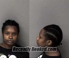 Recent Mugshot Image for Raven Mckenzie Littlejohn in Gaston County, North Carolina