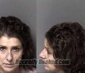 Recent Mugshot Image for Nicole Leigh Blaylock in Gaston County, North Carolina