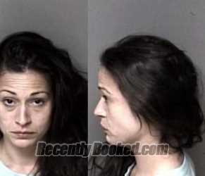 Recent Mugshot Image for Rebecca Colleen Dimmer in Gaston County, North Carolina