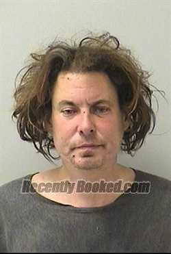 Recent Booking / Mugshot for IAN MICHAEL ANDERSON in Kane County, Illinois