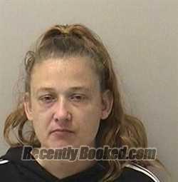 Recent Booking / Mugshot for CYNTHIA J MEYERS in Kane County, Illinois