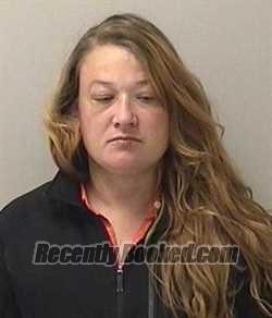 Recent Booking / Mugshot for CYNTHIA J MEYERS in Kane County, Illinois