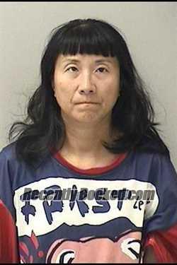Recent Booking / Mugshot for YINI CUI in Kane County, Illinois