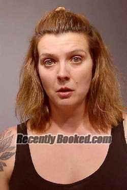Recent Mugshot Image for DANIELLE JEAN ROLKE in Kendall County, Illinois
