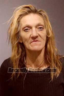 Recent Mugshot Image for LEE ANN COLVIN in Kendall County, Illinois
