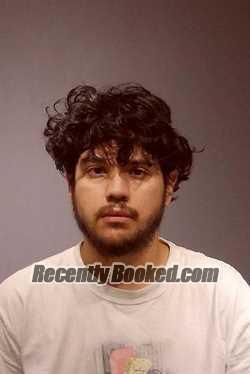 Recent Mugshot Image for ELIAN JESUS LOZANO in Kendall County, Illinois