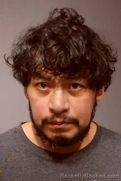 Recent Mugshot Image for JUAN JOSE MENDEZ TAPIA in Kendall County, Illinois