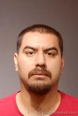 Recent Mugshot Image for FRANCISCO PEREZ ALVARADO in Kendall County, Illinois