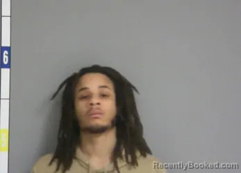 Recent Mugshot Image for TAYVIUS DEVIN SANDERS in La Salle County, Illinois