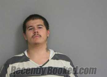 Recent Mugshot Image for RAEL R GONZALES in La Salle County, Illinois
